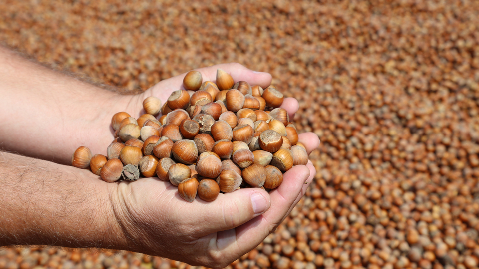 Sezonu 8.5 liradan açtı