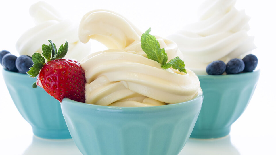 Meyveli yoğurtlu dondurma