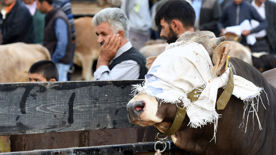 Kurban Bayramı ne zaman?