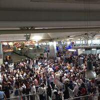 Tatilcilere polnet şoku