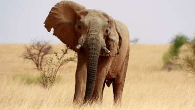 Avcılar artık insan avlıyor: 1 haftada 7 cinayet!