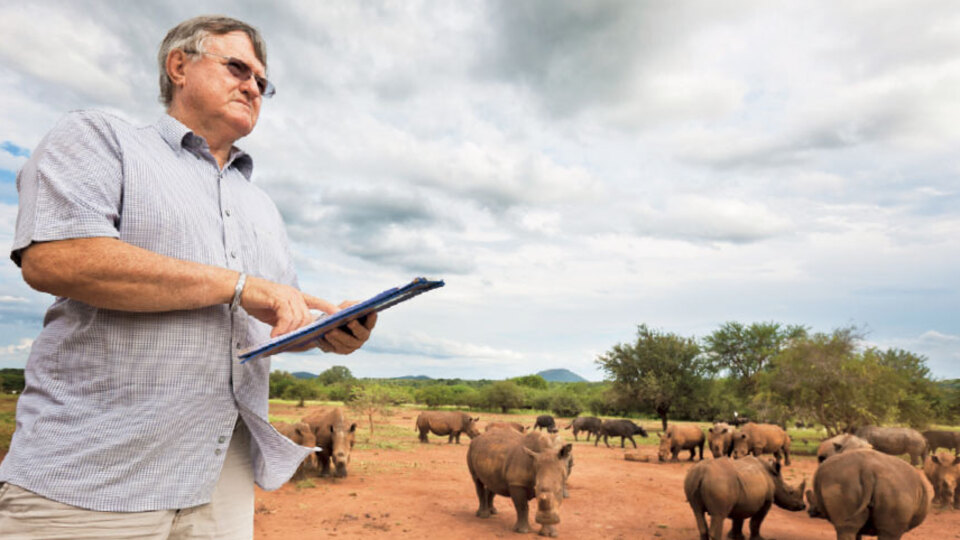 Boynuzlar açık artırmada