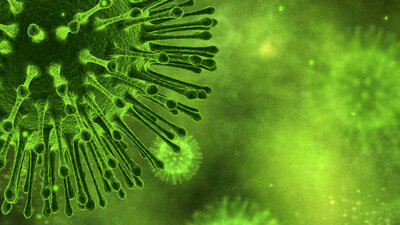 Koksaki virüsü nedir?