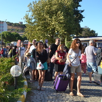 Biner biner gidiyorlar