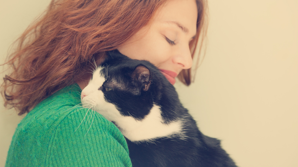 Kanser hastalarına 'evcil hayvan' tavsiyesi!