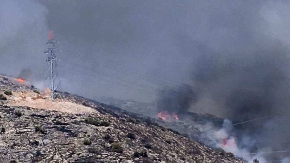 İzmir'de ormanlık alanda yangın