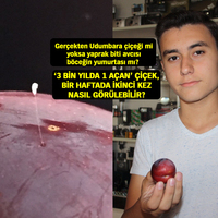 "Efsane" bu defa İznik'te eriğin üzerinde görüntülendi!