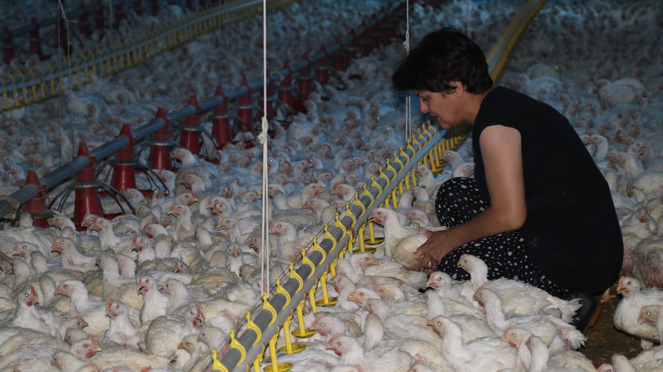 Bileziklerini satıp başladı patron oldu