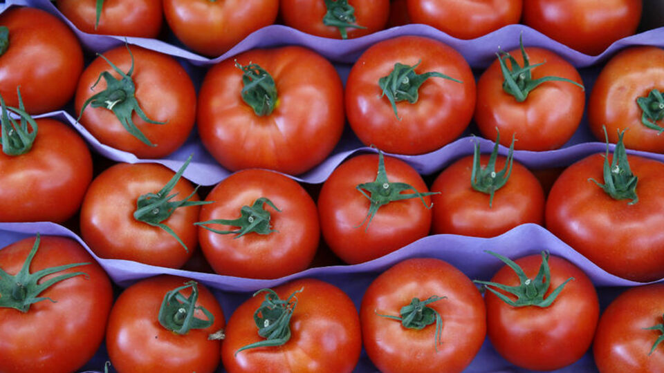 Rusya'dan Türkiye ile ilgili domates açıklaması!