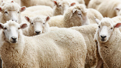 En güzel Bayram mesajları