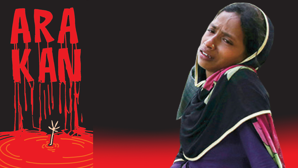 "Türkiye bu soykırımı durdurabilir"