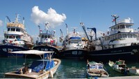 Sezon açıldı ama balıkçı tekneleri kıyıda kaldı