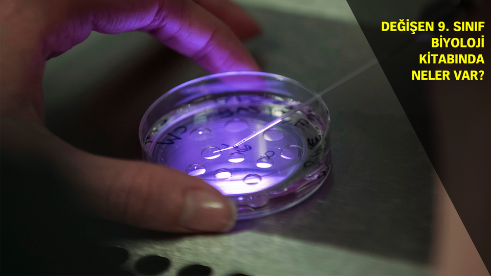 Tüp bebekli, babalık davalı biyoloji dersi!