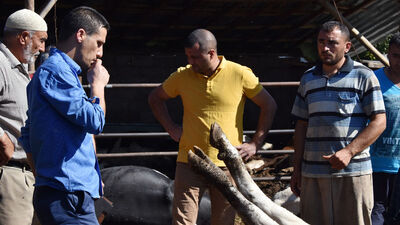 Ahırın kapısını açtığında şoke eden manzarayla karşılaştı!