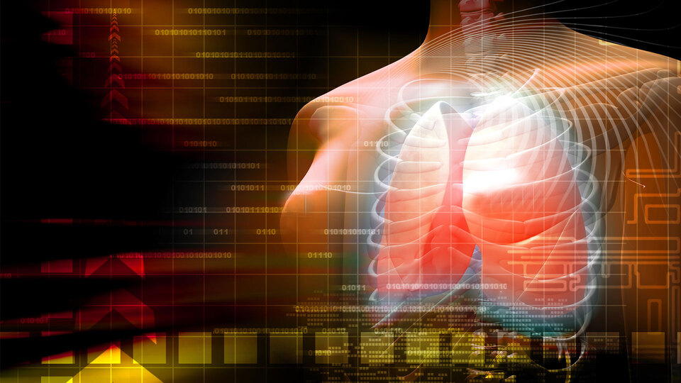 İnsanın içini gösteren kamera