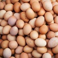 Zam şampiyonu oldu ama üreticinin haberi yok