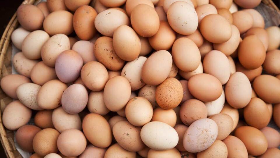 Zam şampiyonu oldu ama üreticinin haberi yok