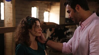 Seven Ne Yapmaz bugün başlıyor