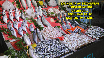 Balığın boyu küçüldü!