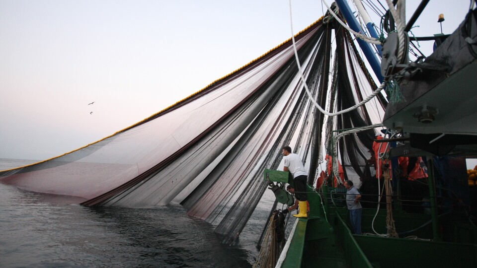 'Kestane Karası' gelince her şey değişecek!