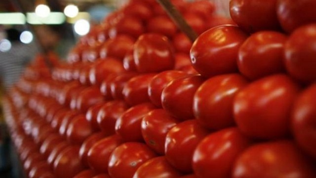 Domates için ilk imzalar atıldı
