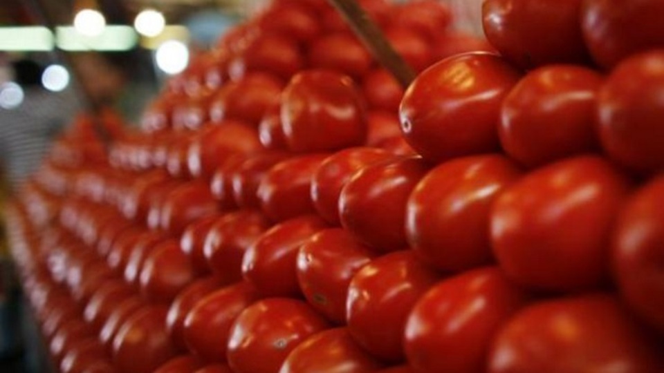 Domates için ilk imzalar atıldı