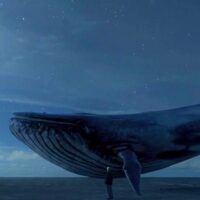 Uzmanlar Mavi Balina oyununa karşı uyardı