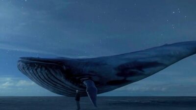 Uzmanlar Mavi Balina oyununa karşı uyardı