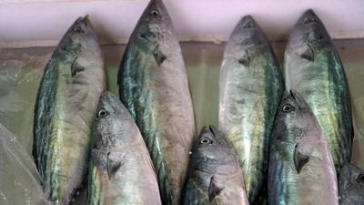 Tanesi 10 liradan satılıyor