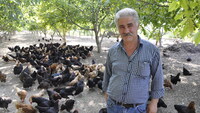 Düğünde duyduğu fikirle kendi işini kurdu! 56 yaşında paraya para demiyor