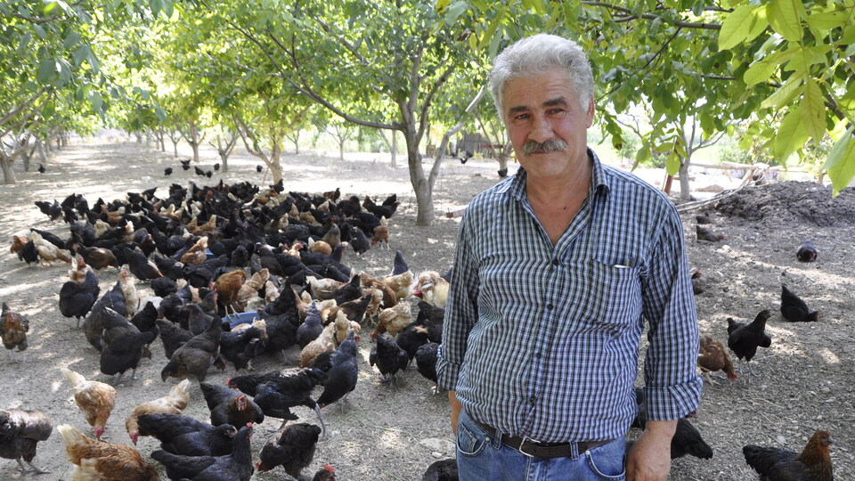 Düğünde duyduğu fikirle kendi işini kurdu! 56 yaşında paraya para demiyor