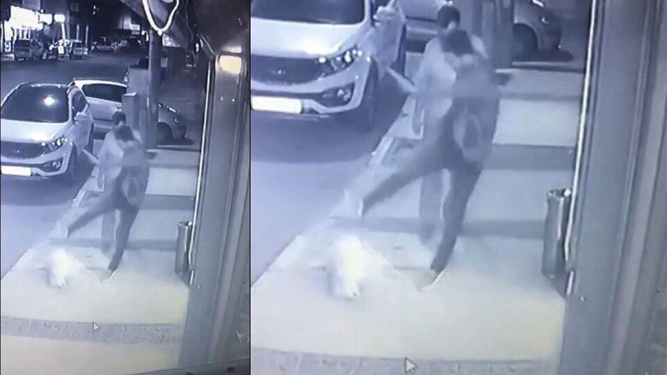 Yerde yatan köpeğe tekme, vicdan ağır yaralı!