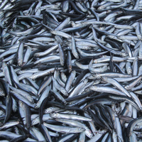 Marmara'da hamsinin fiyatı düştü