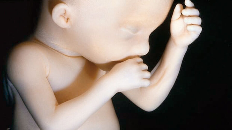 Yapay rahim teknolojisi nelere gebe?