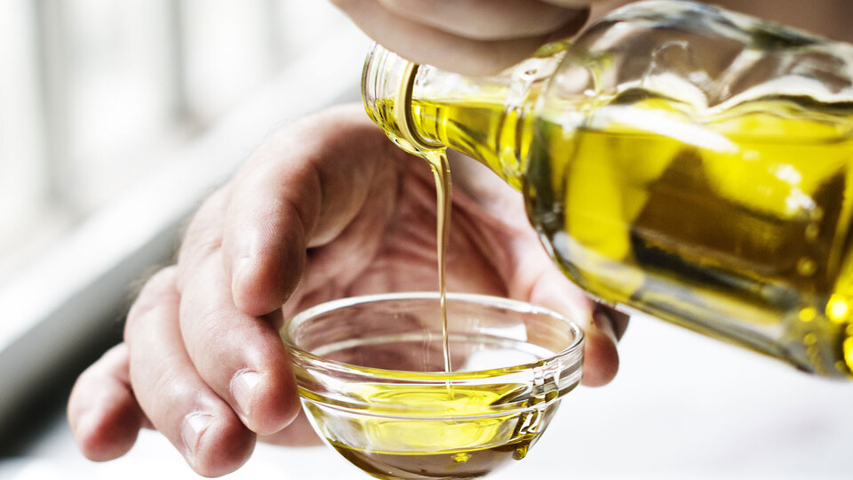 Uzun yaşamın sırrı zeytinyağından mı geçiyor?