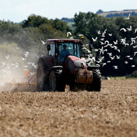 Türk traktör devi satıldı, işte fiyatı