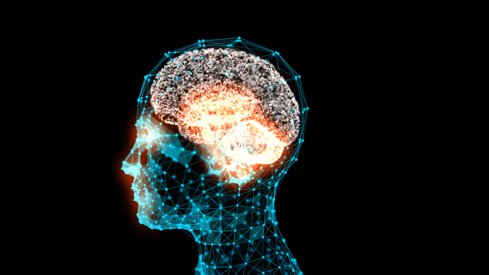 'Beyin nasıl karar veriyor?' sorusunu 21 laboratuvar araştıracak!