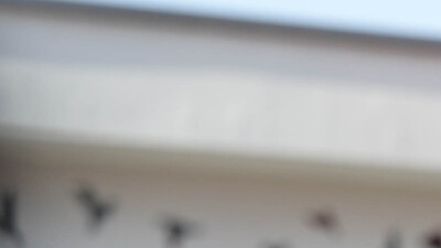 Kılıçdaroğlu'ndan TEOG eleştirisi!