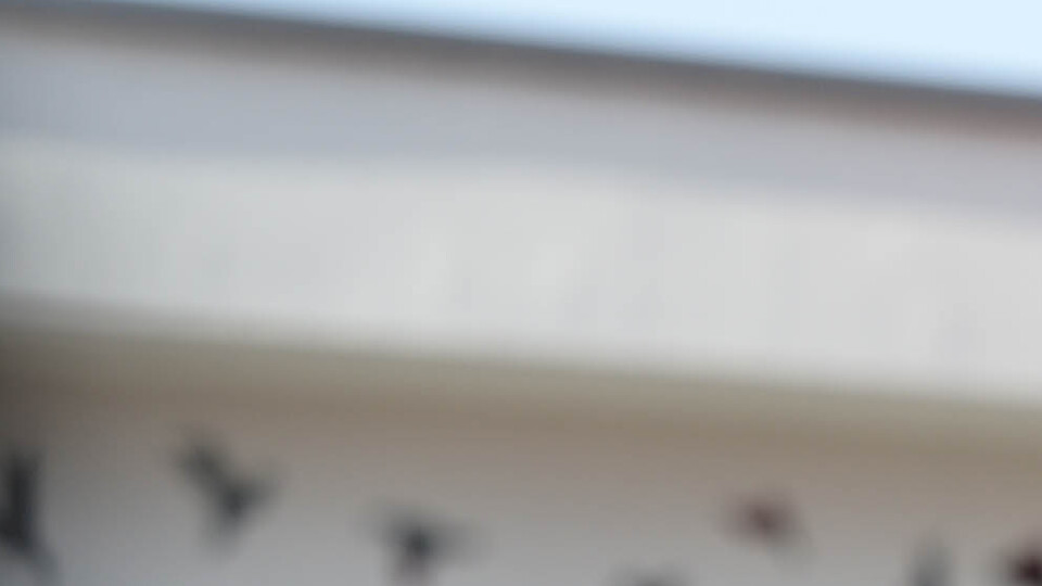 Kılıçdaroğlu'ndan TEOG eleştirisi!