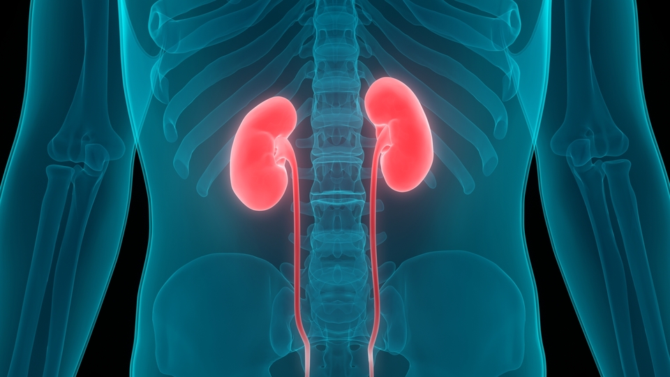 Böbrek hastalarına çok önemli uyarı!