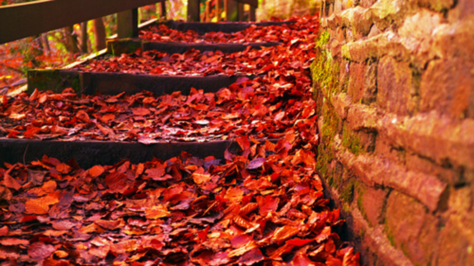 Sonbahar Ekinoksu nedir?