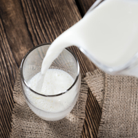 Sonbaharda zayıflayan bağışıklık sistemine süt önerisi!