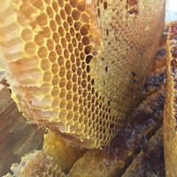 Sahte bal uyarısı! İşte olması gereken fiyat