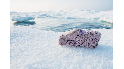 Çöpümüz kutba ulaştı