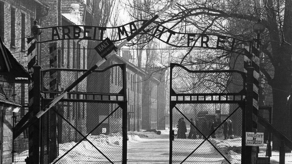Nazi dönemini yaşayan Yahudiler AfD'nin yükselişine nasıl bakıyor?