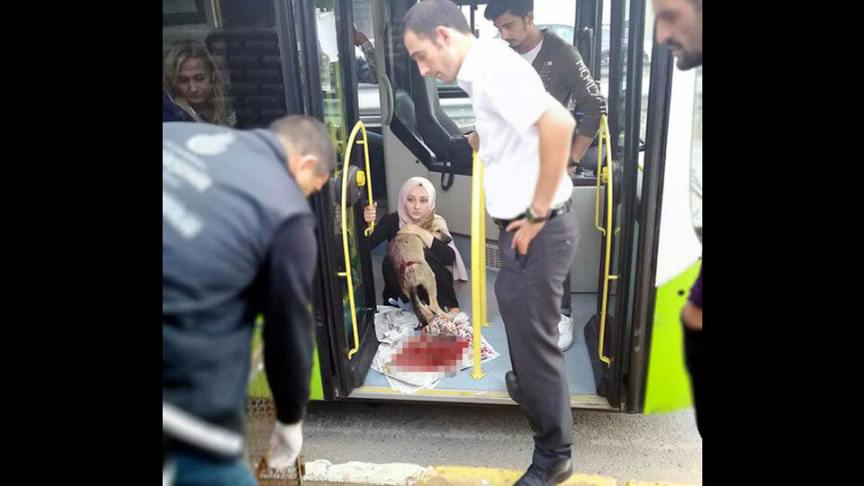 Otobüs şoförünün duyarlılığı 'Helal olsun' dedirtti!