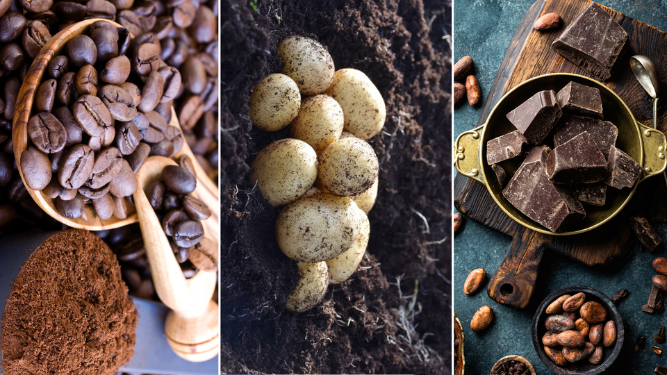 38 yıl içinde tükenecekler!