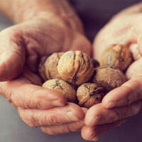 Bugüne kadarki en geniş çaplı araştırma! Ceviz mucizesini kanıtladılar!