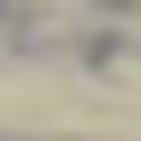 Tunceli’de çatışma! 2 terörist öldürüldü