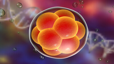 Bilim dünyasında bir ilk: İnsan embriyosunda 'kimyasal ameliyat'